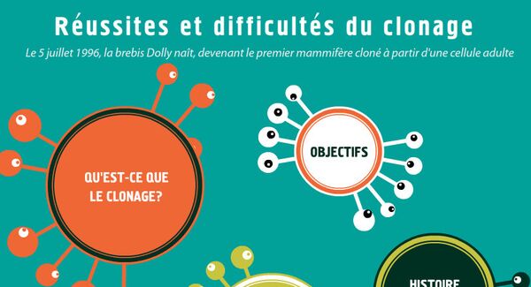 Réussites et difficultés du clonage - Sputnik Afrique