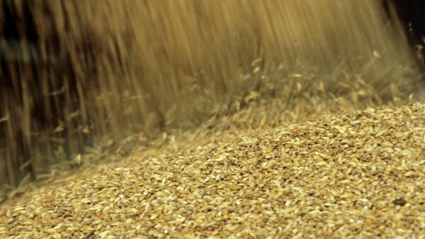 Les exportations de céréales russes ont augmenté de 1,5 fois cette année