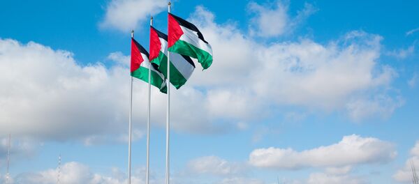 Onu: la Palestine veut que les paramètres de son Etat soient définis - Sputnik Afrique