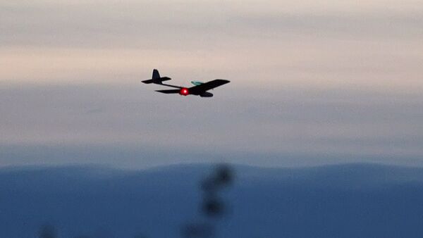 Israël abat un drone venant du Liban - Sputnik Afrique