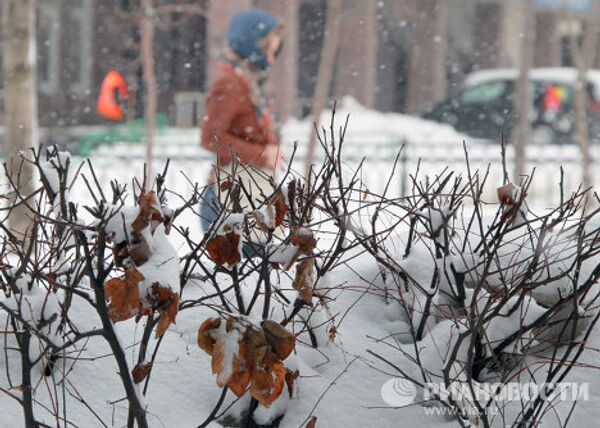 Chutes de neige printanières à Moscou  - Sputnik Afrique