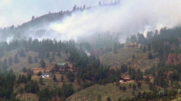 Le Colorado ravagé par un incendie de forêt  - Sputnik Afrique