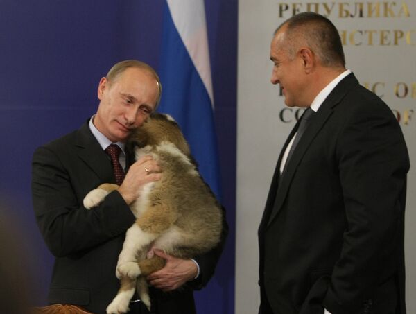 Les animaux de compagnie de Vladimir Poutine  - Sputnik Afrique