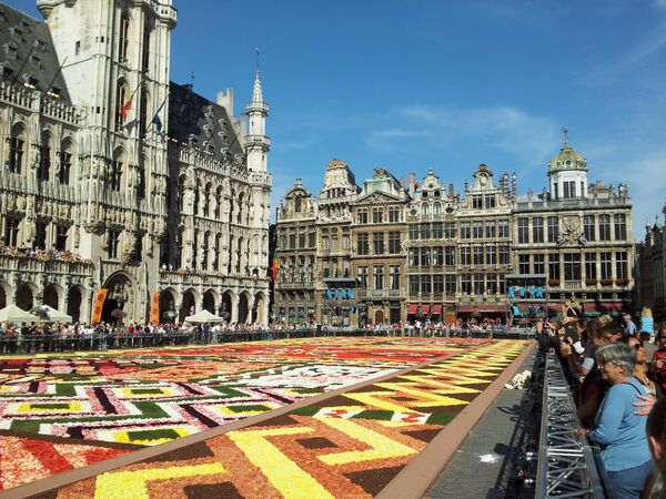 Un tapis de fleurs sur la Grand-Place de Bruxelles - Sputnik Afrique