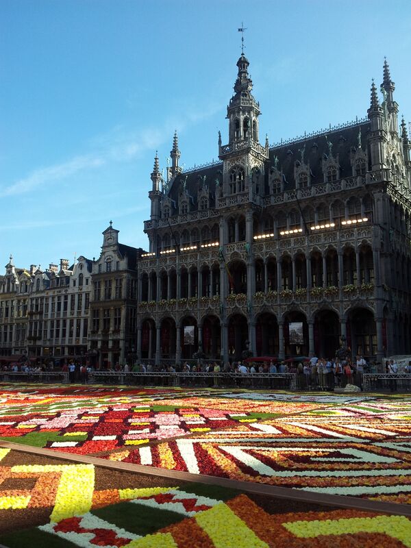 Un tapis de fleurs sur la Grand-Place de Bruxelles - Sputnik Afrique