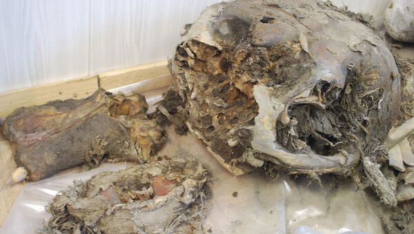 Les fragments de mammouth. Les archives - Sputnik Afrique