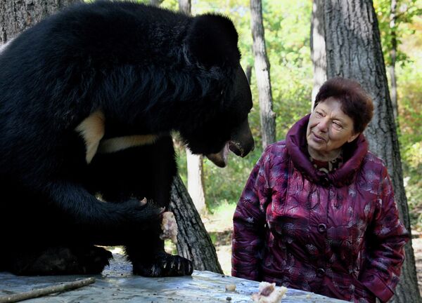 Des ours du Tibet pris en charge dans l'Extrême-Orient russe - Sputnik Afrique