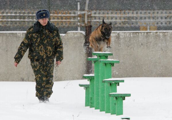 Biélorussie: un centre de dressage des chiens policiers - Sputnik Afrique