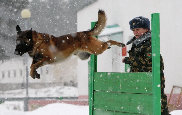 Biélorussie: un centre de dressage des chiens policiers - Sputnik Afrique