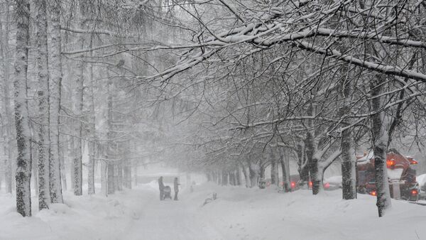 Importantes chutes de neige à Moscou - Sputnik Afrique