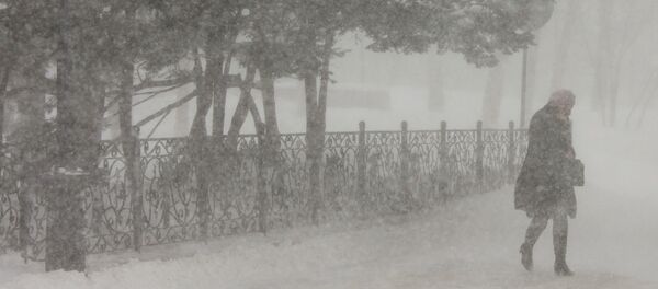 Снежный циклон на Сахалине - Sputnik Afrique