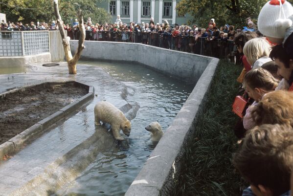 Le zoo de Moscou a 149 ans - Sputnik Afrique