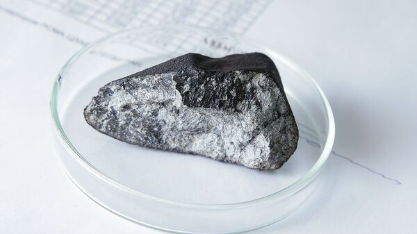 Un fragment de météorite (image d'illustration) - Sputnik Afrique