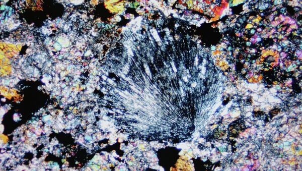 Une coupe de 40 microns d'épaisseur de la météorite en lumière polarisée - Sputnik Afrique