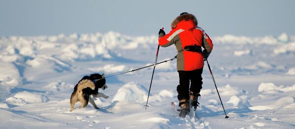 A deux pas du Pôle Nord: expédition Konioukhov-Simonov - Sputnik Afrique