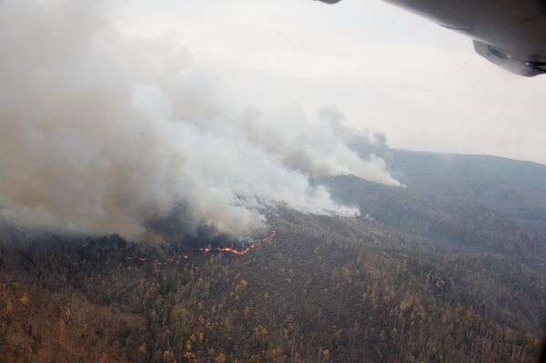 Incendies de forêts: 10.400 hectares ravagés par le feu en Transbaïkalie. (Аrchive ) - Sputnik Afrique