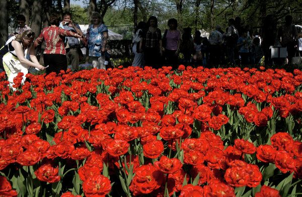 Le festival des tulipes de Saint-Pétersbourg - Sputnik Afrique