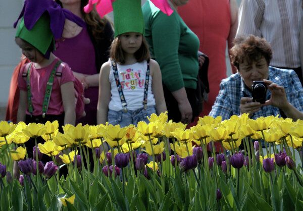Le festival des tulipes de Saint-Pétersbourg - Sputnik Afrique