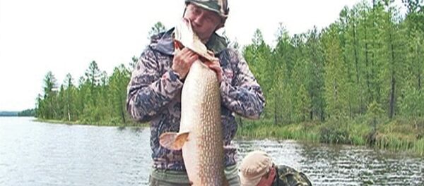 Poutine pêche un brochet de 21 kg - Sputnik Afrique