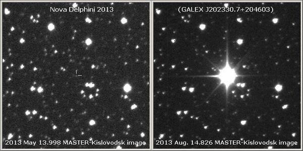 La supernova la plus brillante s'allume dans la constellation du Dauphin - Sputnik Afrique