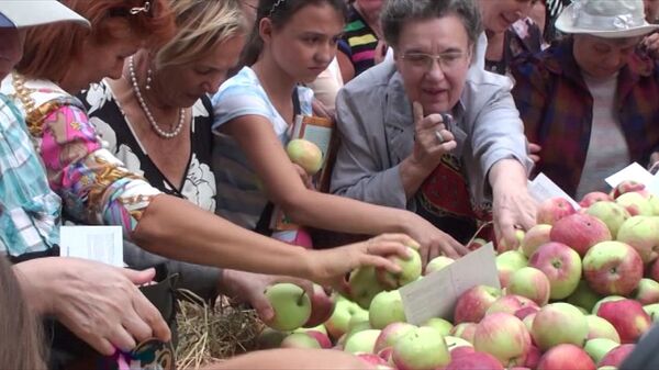 Des pommes bénites distribuées à Saint-Pétersbourg pour la fête de la Transfiguration - Sputnik Afrique