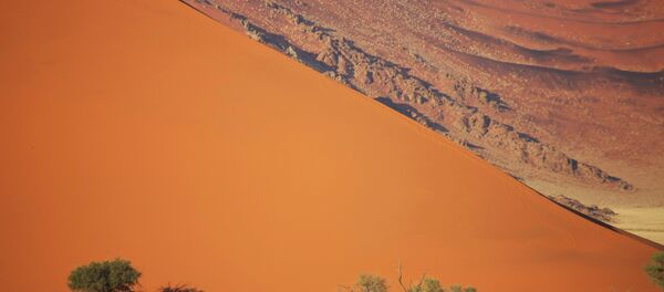 Dans le Namib - Sputnik Afrique