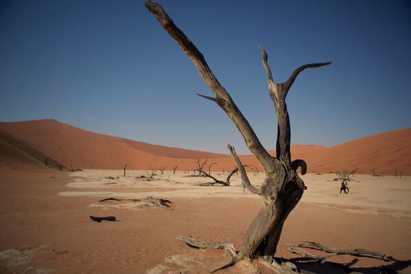 Namibie: voyage photo au pays de l'exotisme - Sputnik Afrique