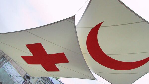 Sept employés de la Croix-Rouge enlevés en Syrie. (Аrchive) - Sputnik Afrique
