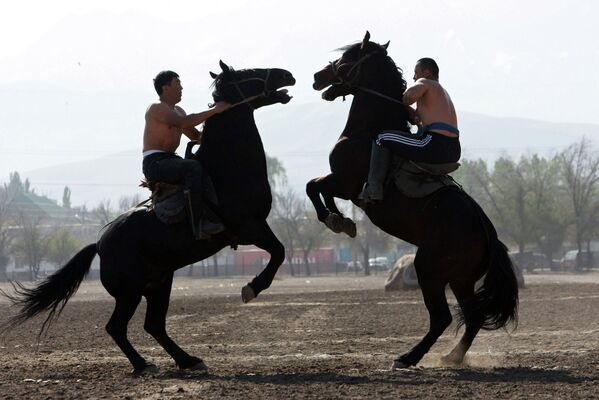 Championnat des sports traditionnels au Kirghizstan - Sputnik Afrique