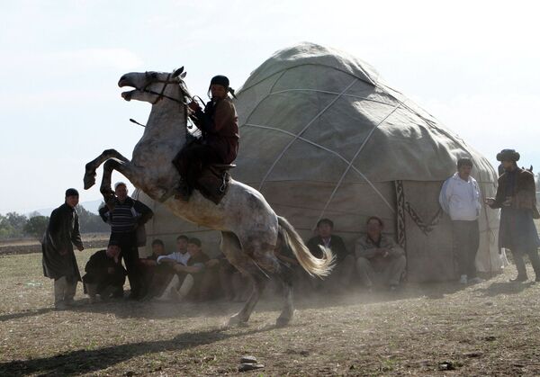 Championnat des sports traditionnels au Kirghizstan - Sputnik Afrique