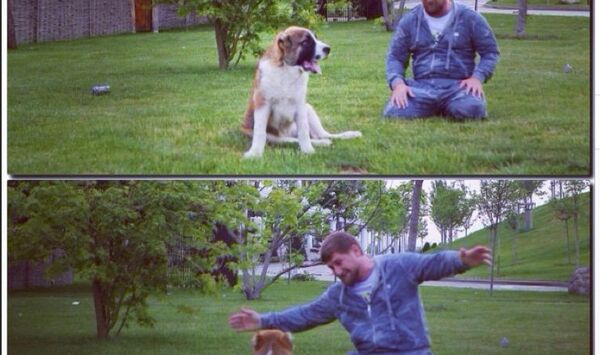 Les animaux de compagnie des chefs d'Etat - Sputnik Afrique