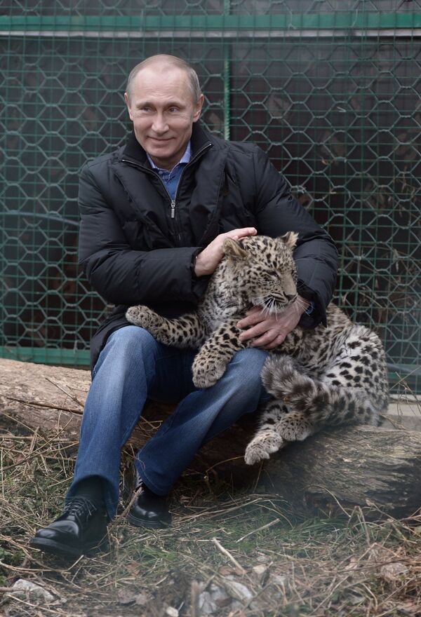 Vladimir Poutine fait connaissance avec un jeune léopard - Sputnik Afrique