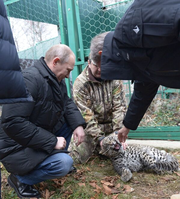 Vladimir Poutine fait connaissance avec un jeune léopard - Sputnik Afrique