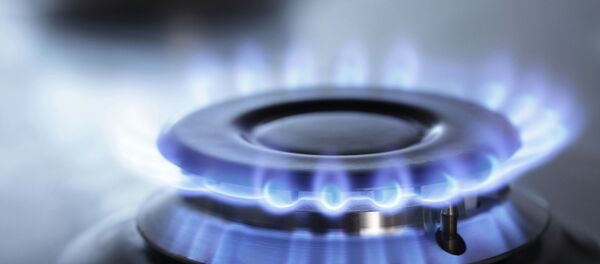 La France n'exploitera pas le gaz de schiste - Sputnik Afrique