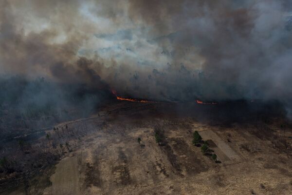 Incendies de forêt en Extrême-Orient et en Sibérie - Sputnik Afrique