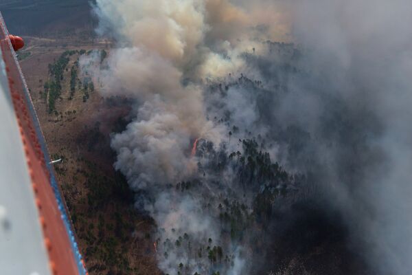 Russie: la superficie des incendies de forêt en hausse en Extrême-Orient - Sputnik Afrique