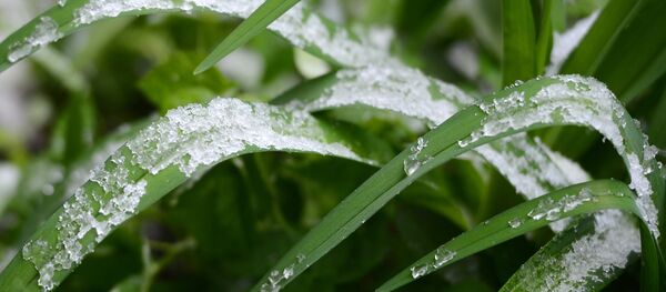 2017 sera marqué par des phénomènes météorologiques terribles - Sputnik Afrique