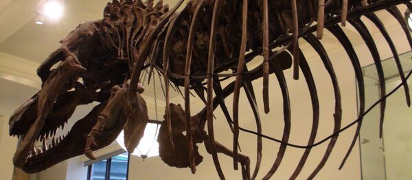 dinosaure - Sputnik Afrique