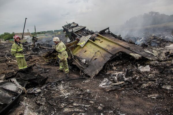 Crash d'un Boeing malaisien en Ukraine Crash d'un Boeing malaisien en Ukraine - Sputnik Afrique