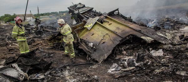 Crash d'un Boeing malaisien en Ukraine - Sputnik Afrique