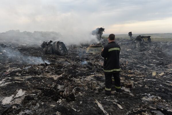 Crash d'un Boeing malaisien en Ukraine - Sputnik Afrique
