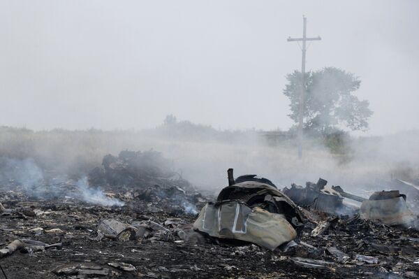 Ukraine/crash: une délégation de l'OSCE se rend sur les lieux - Sputnik Afrique