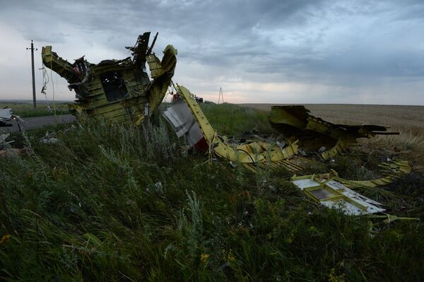 Crash en Ukraine: les avions-radars de l'Otan n'ont pas fixé la chute - Sputnik Afrique