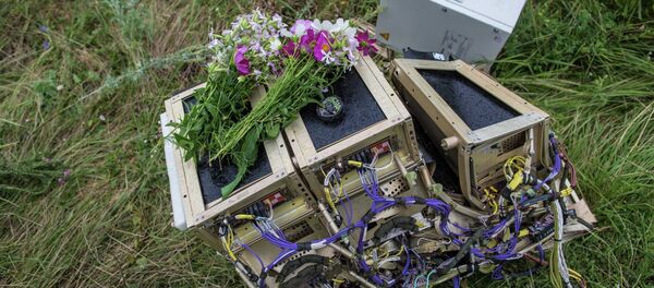 MH17: AntiBellingcat révèle les falsifications occidentales et disculpe la Russie - Sputnik Afrique