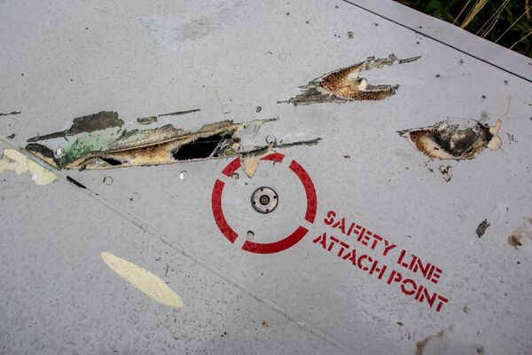 Rapport sur le vol MH17: pas de réponses aux questions de Moscou (Lavrov) - Sputnik Afrique