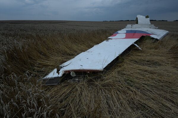 Crash du MH17: l'enquête ne modifiera pas l'attitude des USA (sénatrice russe) - Sputnik Afrique