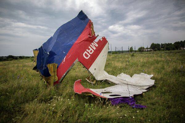 Crash du Boeing en Ukraine: Moscou demande un rapport d'enquête - Sputnik Afrique