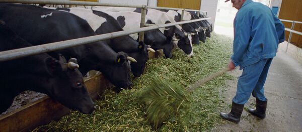 une ferme en Russie - Sputnik Afrique