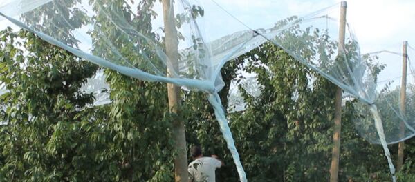 L’embargo russe inquiète les agriculteurs français - Sputnik Afrique