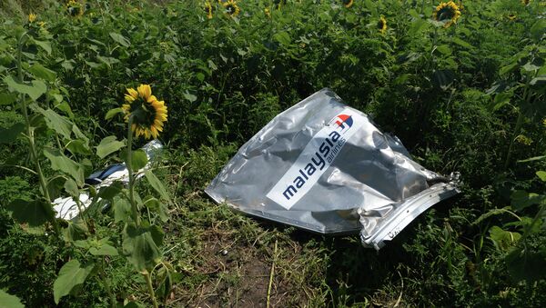 Crash  du vol MH17: Kiev fait traîner en longueur l'enquête - Sputnik Afrique